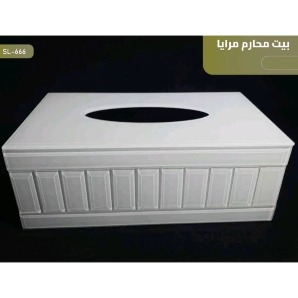 WhatsApp Image 2026 01 15 at 4.13.35 PM