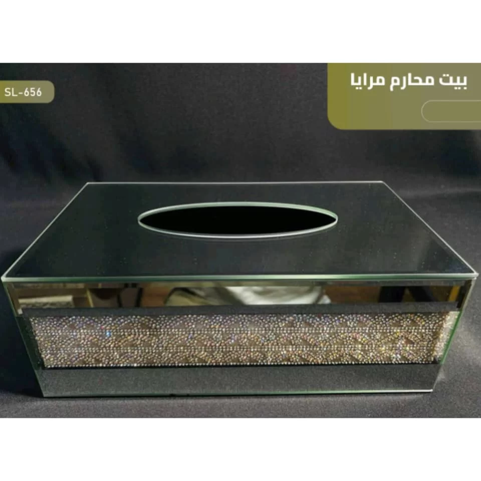 WhatsApp Image 2026 01 15 at 4.13.41 PM 1