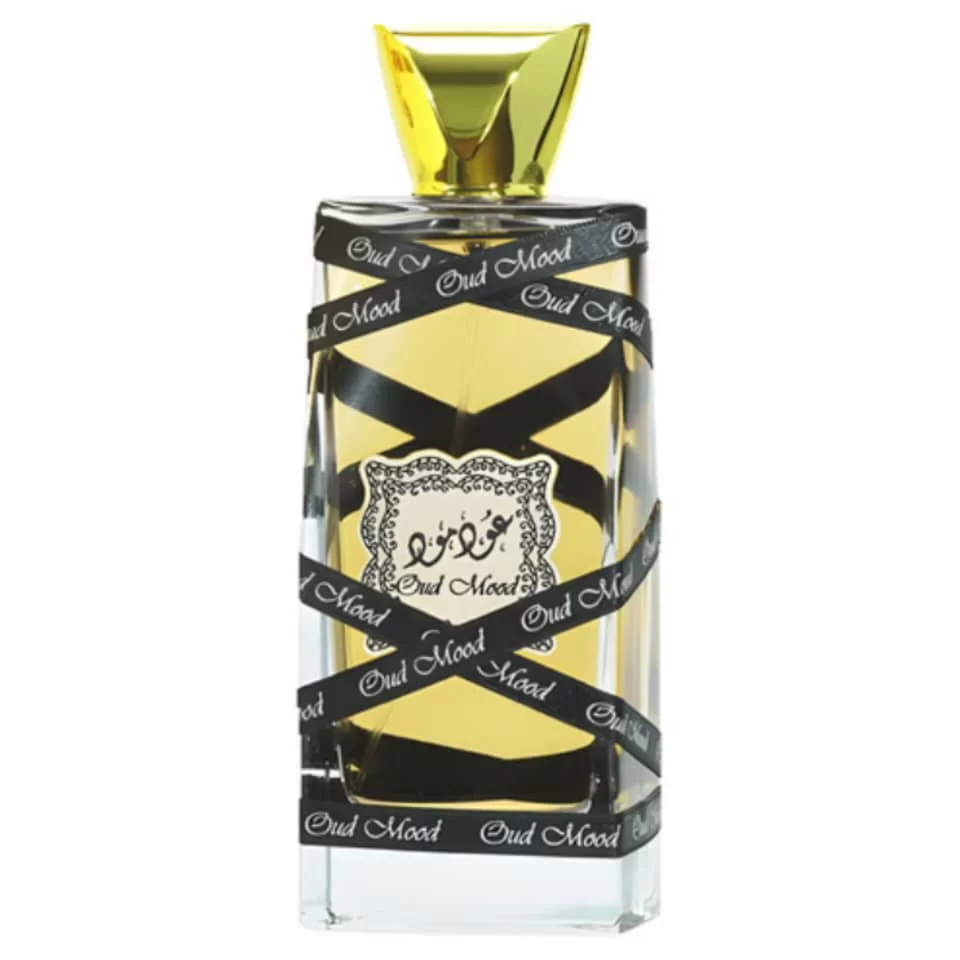 WhatsApp Image 2026 01 19 at 9.06.26 PM