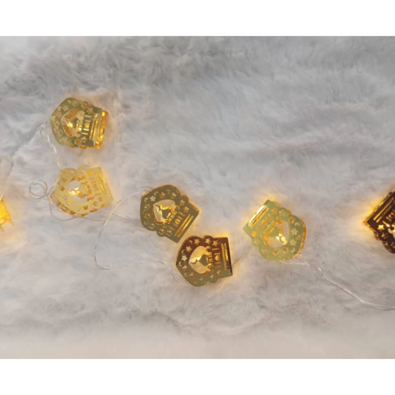 WhatsApp Image 2026 01 20 at 7.12.15 PM