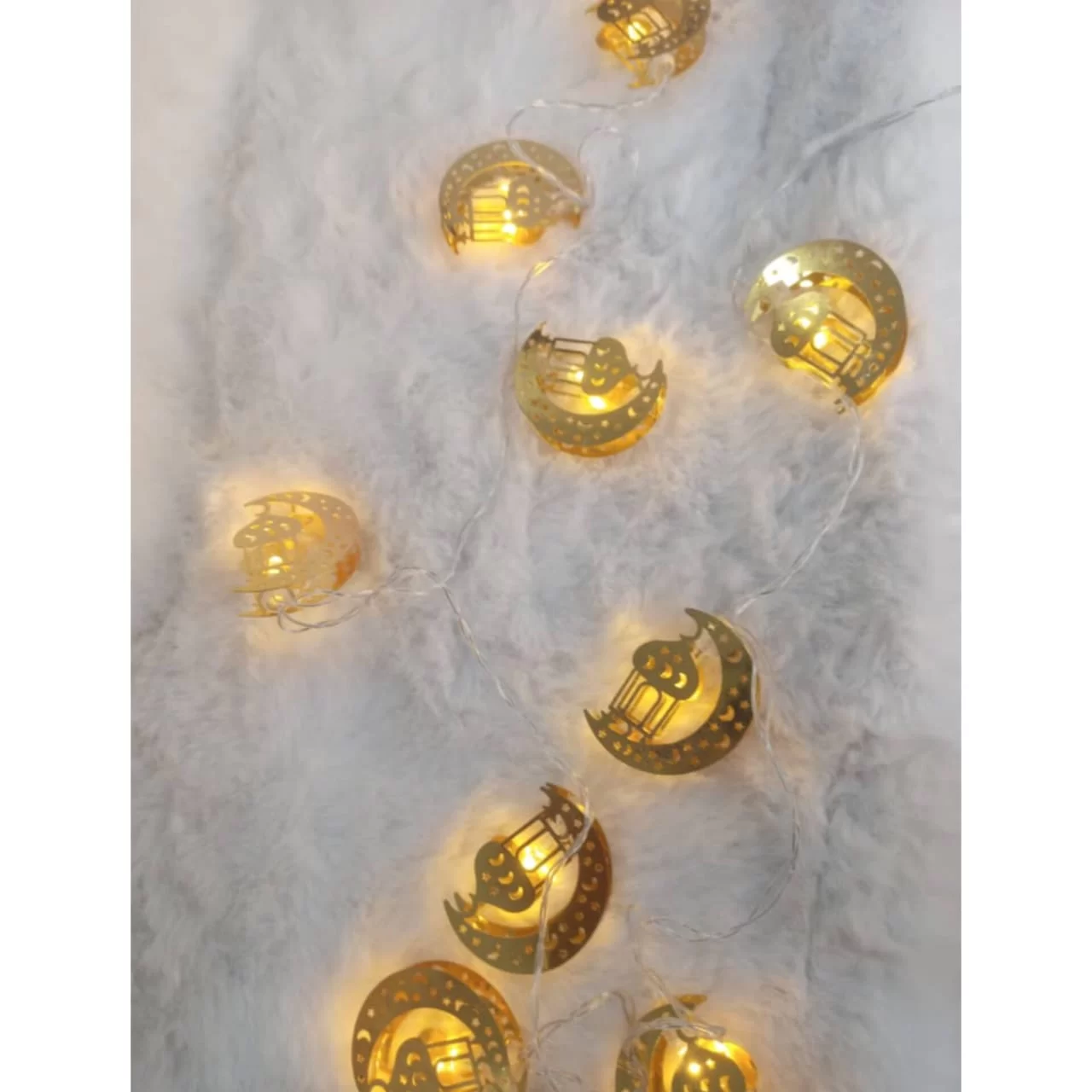 WhatsApp Image 2026 01 20 at 7.12.16 PM