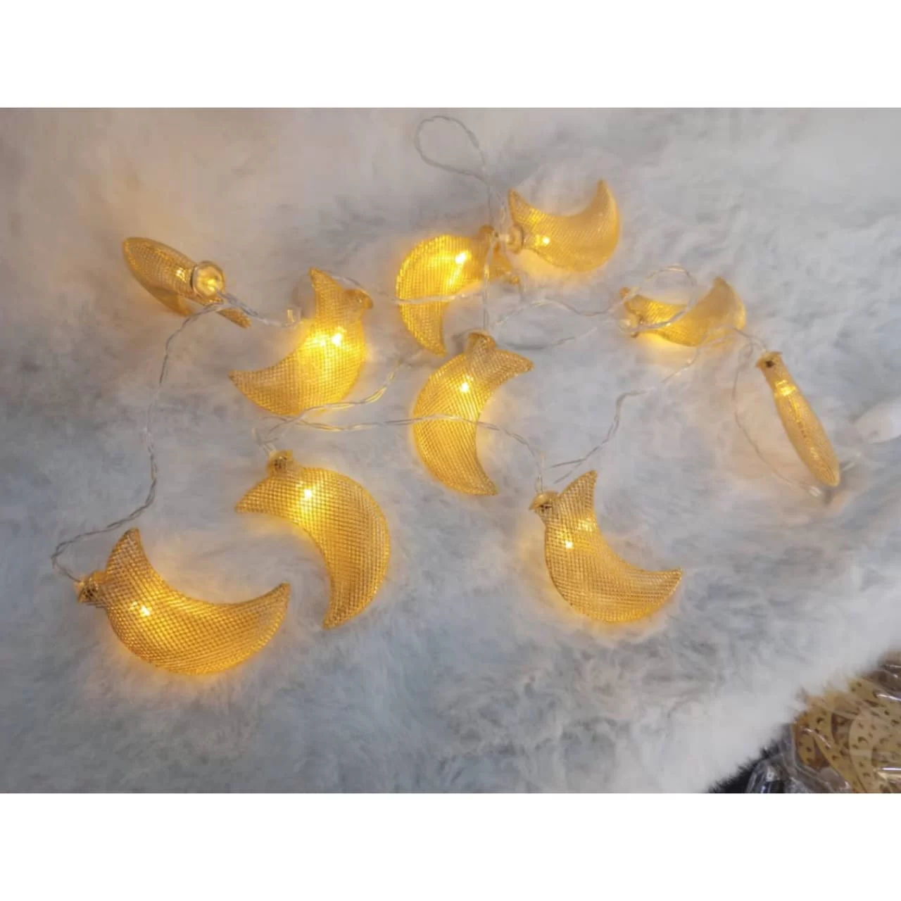 WhatsApp Image 2026 01 20 at 7.12.20 PM