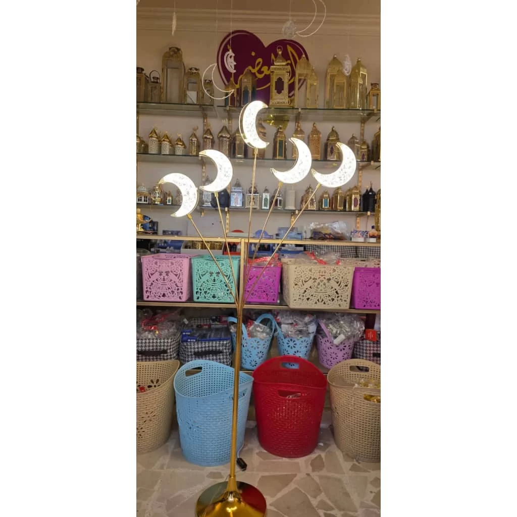 WhatsApp Image 2026 01 20 at 8.11.38 PM