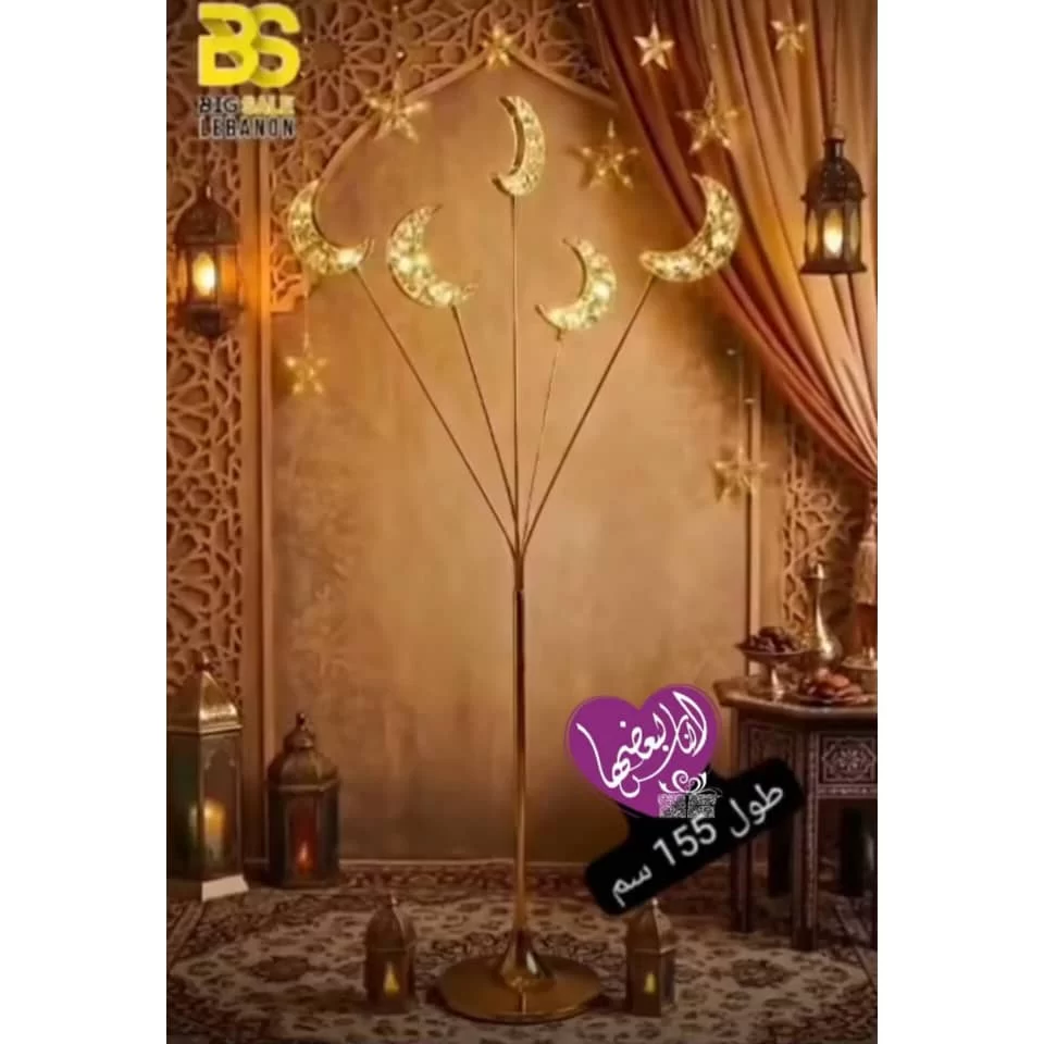 WhatsApp Image 2026 01 20 at 8.11.40 PM