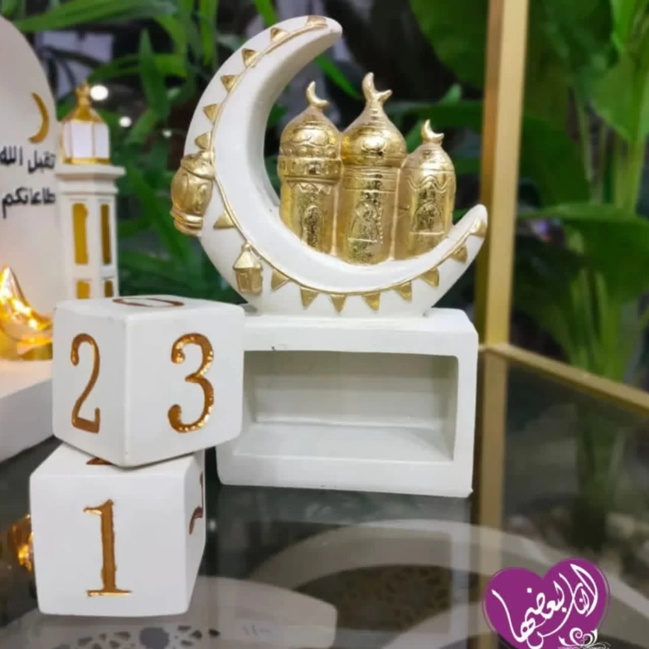 WhatsApp Image 2026 01 21 at 11.00.58 PM