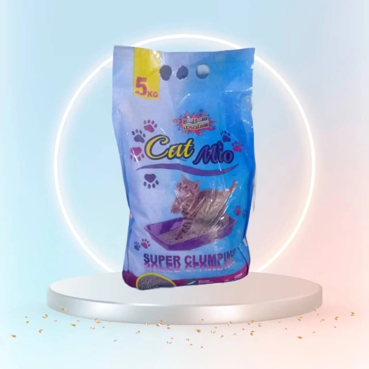 WhatsApp Image 2026 01 21 at 11.10.30 PM