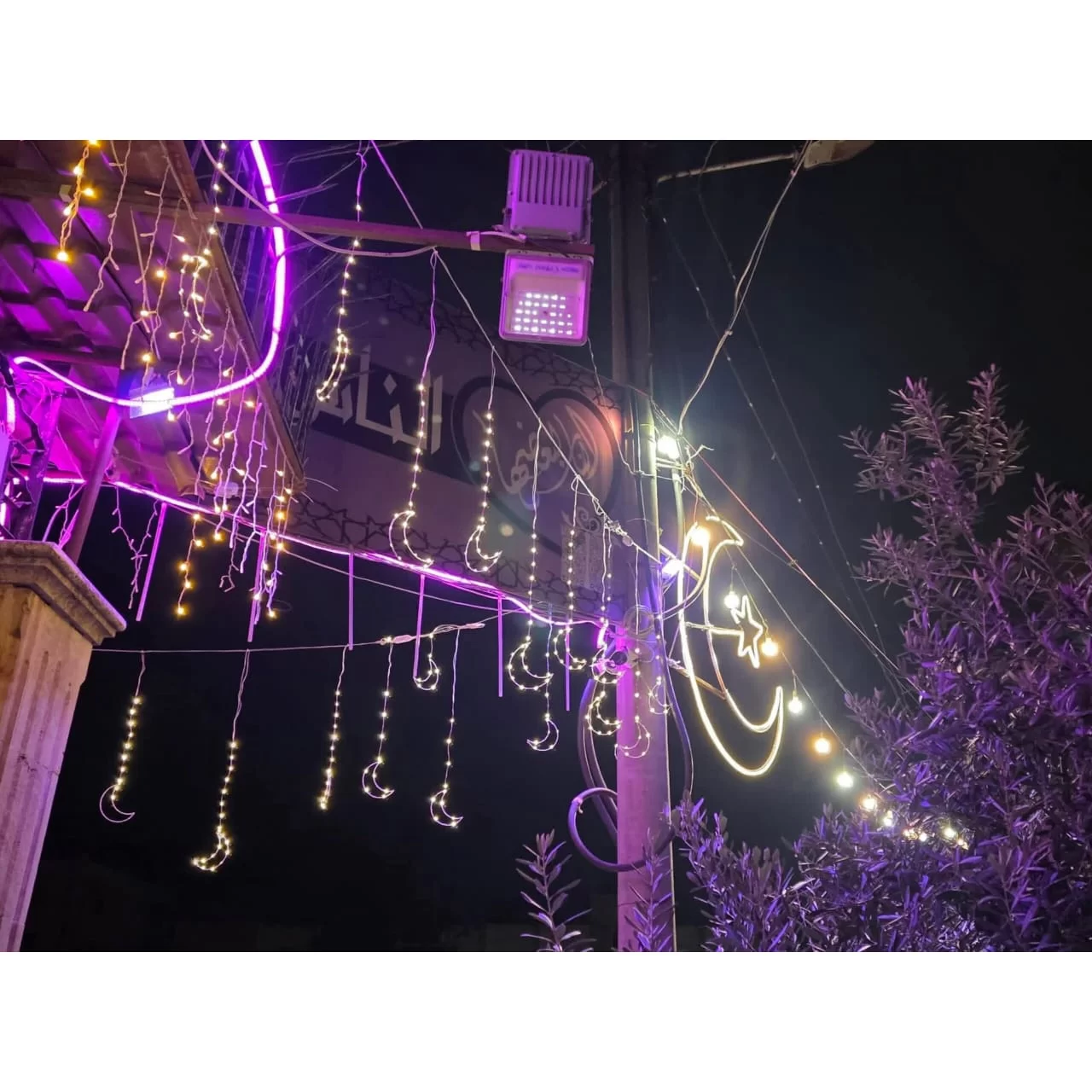 WhatsApp Image 2026 02 01 at 12.34.50 AM