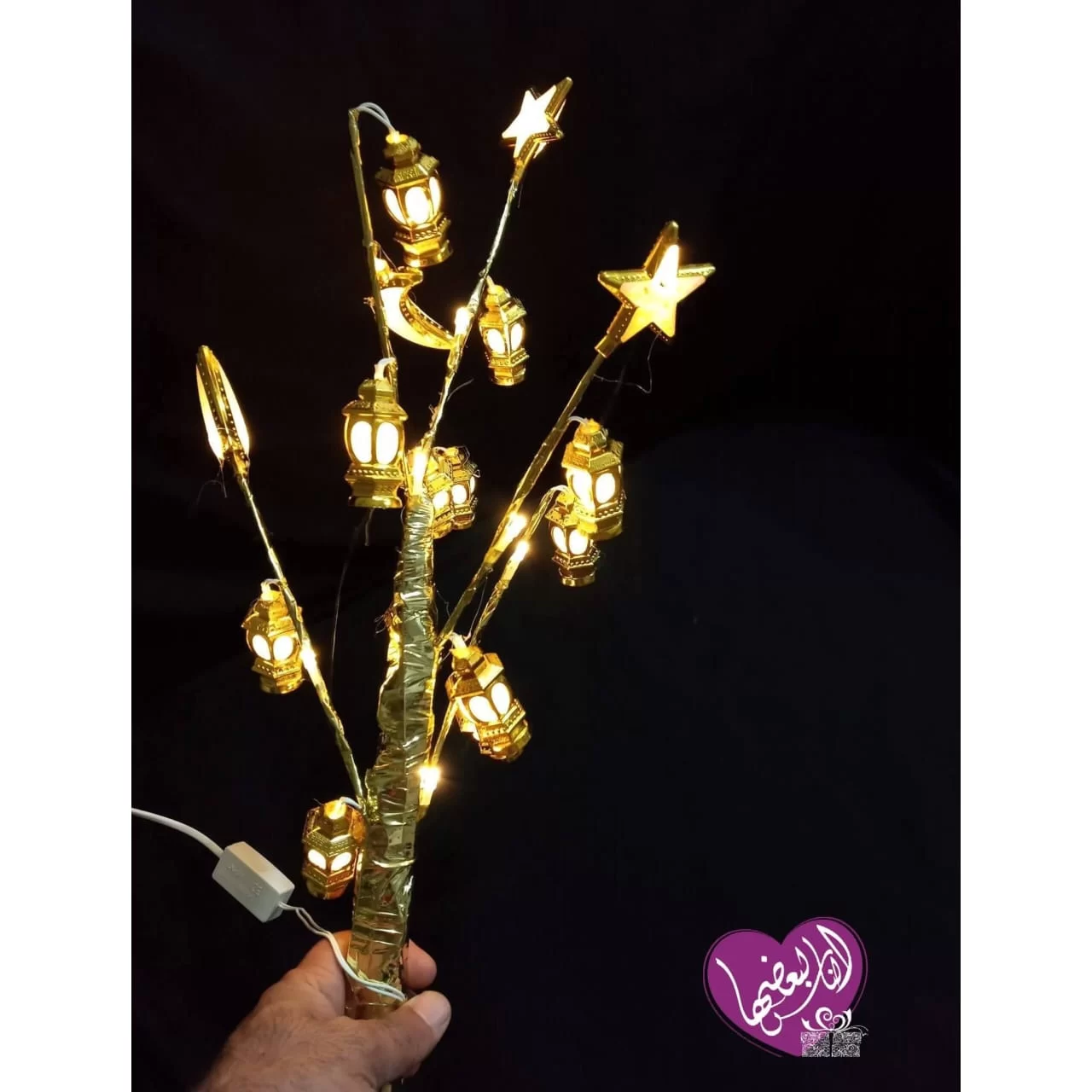 WhatsApp Image 2026 02 01 at 12.35.25 AM 1