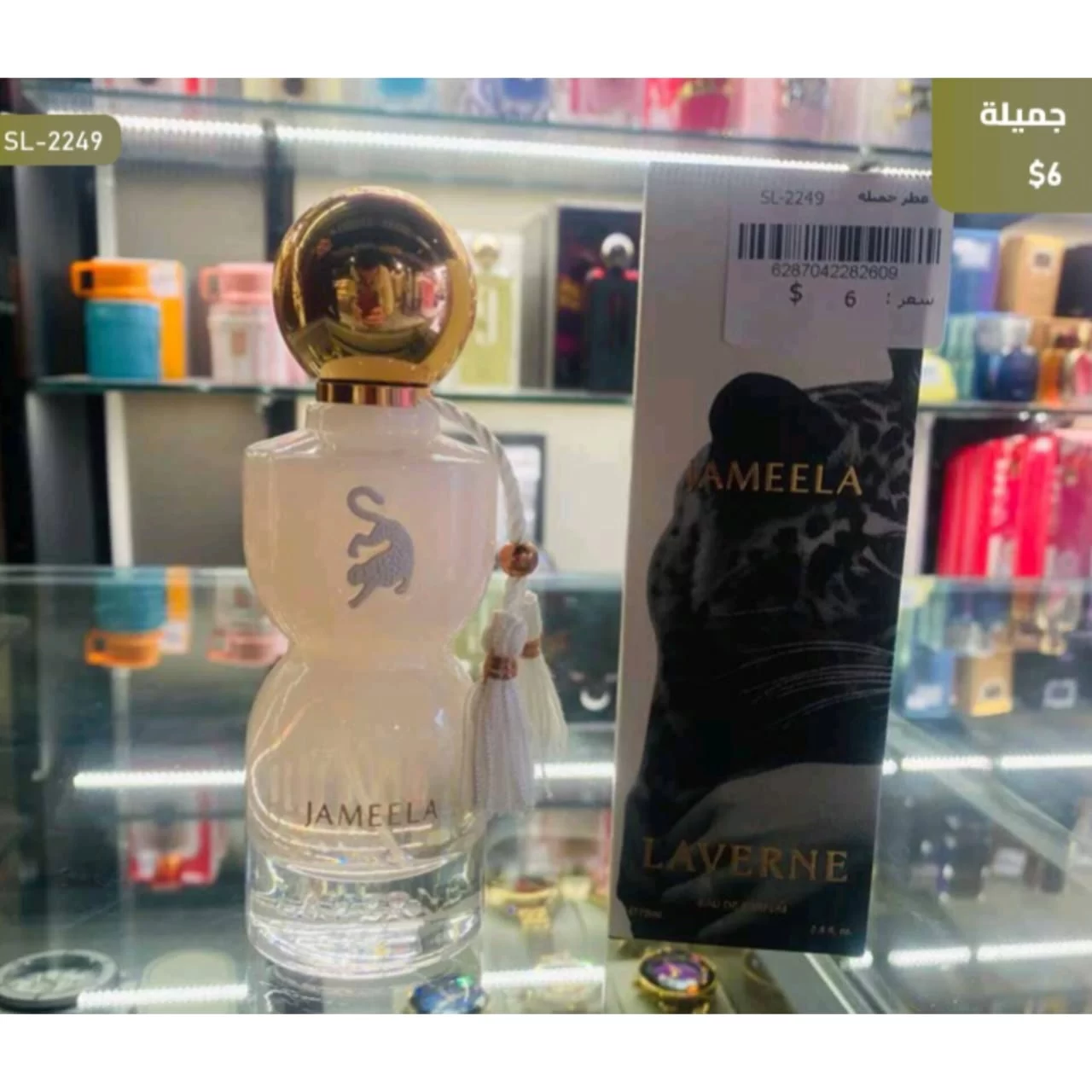 WhatsApp Image 2026 03 30 at 6.09.43 PM 1