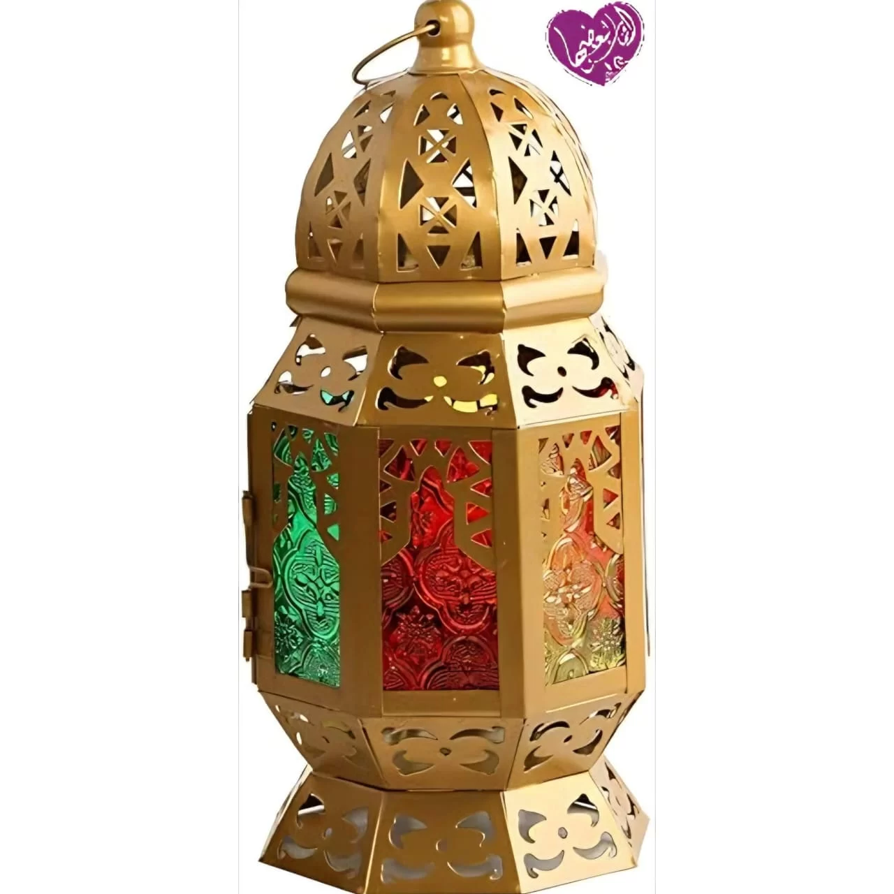 WhatsApp Image 2026 02 03 at 5.39.47 PM