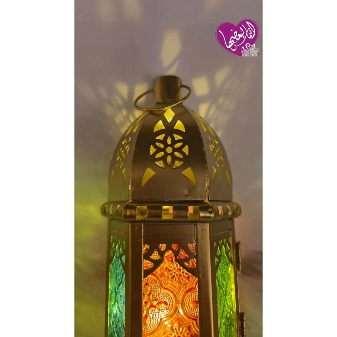 WhatsApp Image 2026 02 03 at 5.39.49 PM