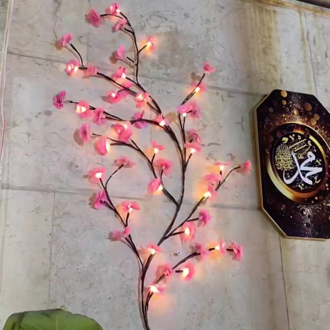 WhatsApp Image 2026 02 04 at 2.05.49 PM