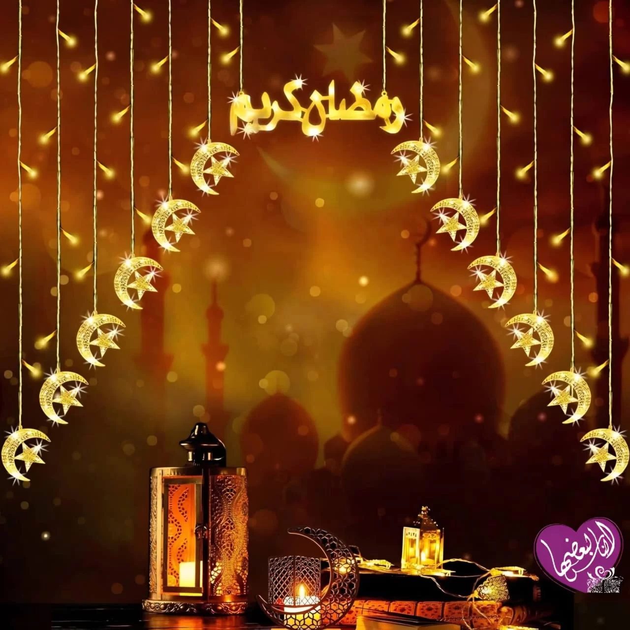 WhatsApp Image 2026 02 08 at 2.10.57 AM