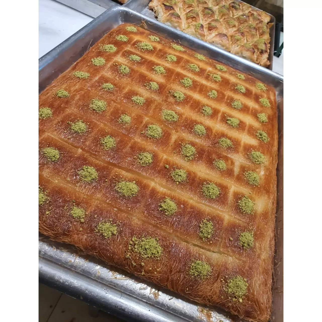 WhatsApp Image 2026 02 10 at 2.28.13 AM 2