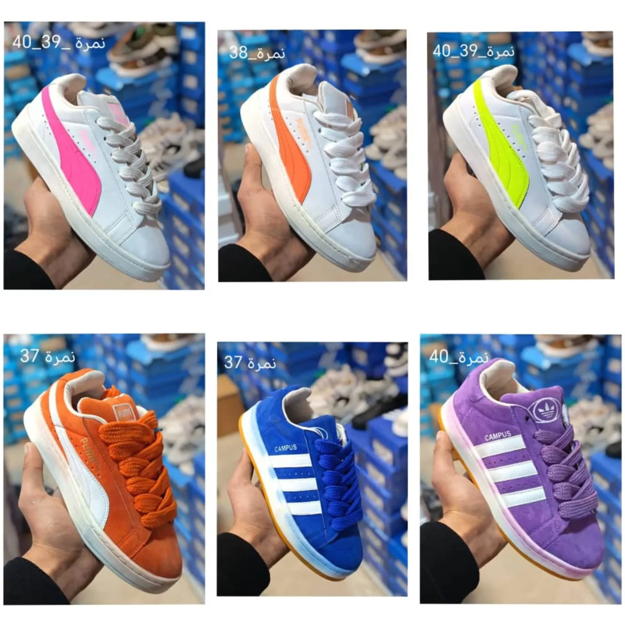 WhatsApp Image 2026 02 13 at 12.21.18 AM