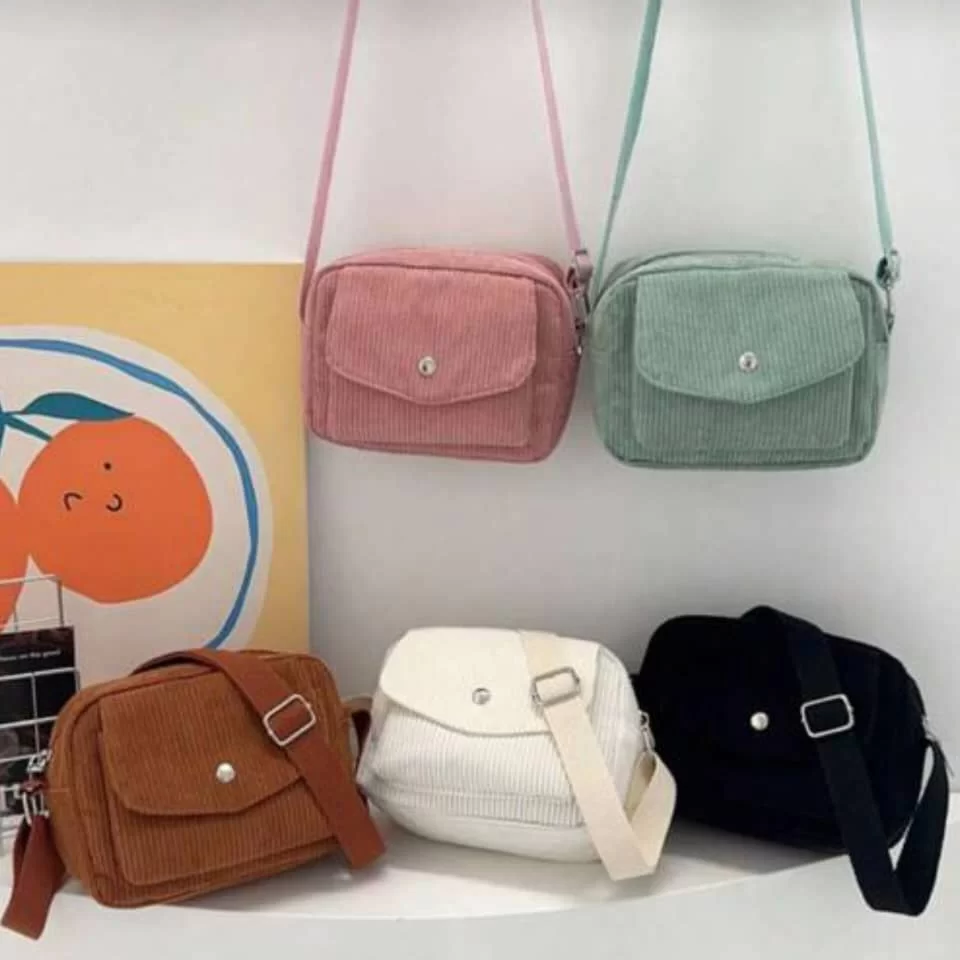 WhatsApp Image 2026 02 15 at 6.48.04 PM 1