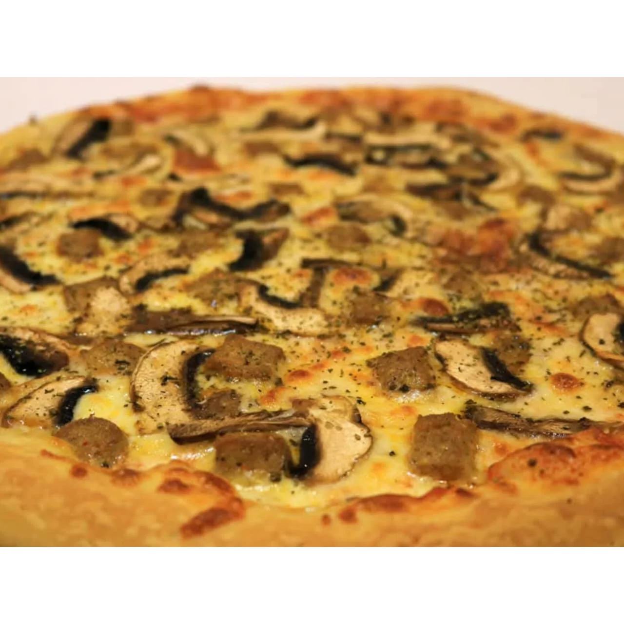 WhatsApp Image 2026 02 17 at 3.35.40 PM