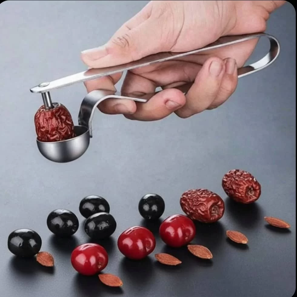 WhatsApp Image 2026 02 18 at 10.59.08 PM