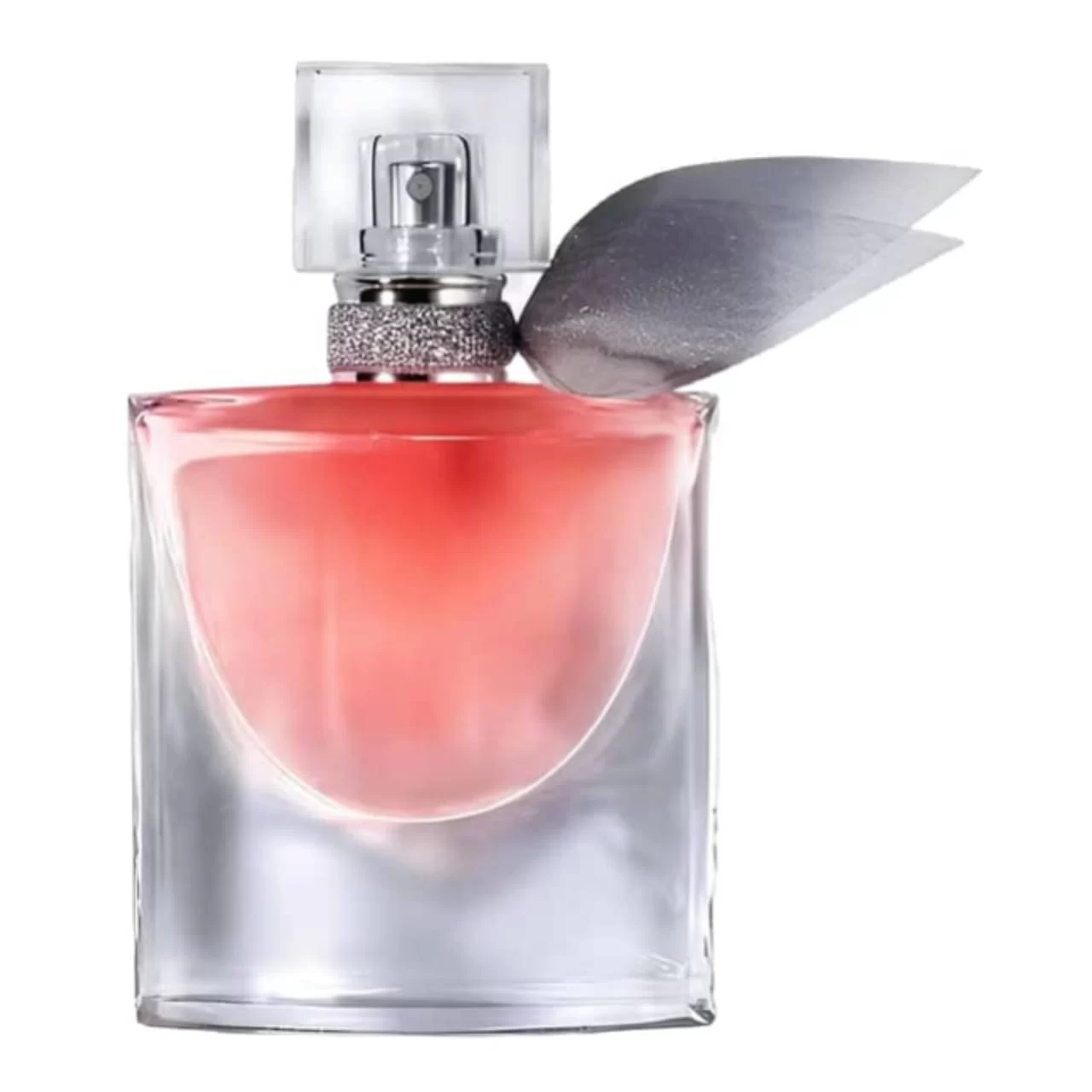 WhatsApp Image 2026 02 20 at 1.52.17 AM 1