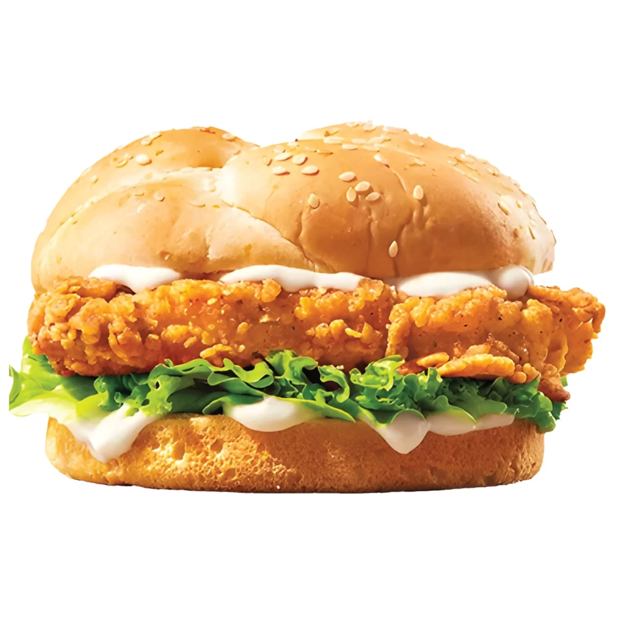 WhatsApp Image 2026 02 24 at 6.01.49 PM