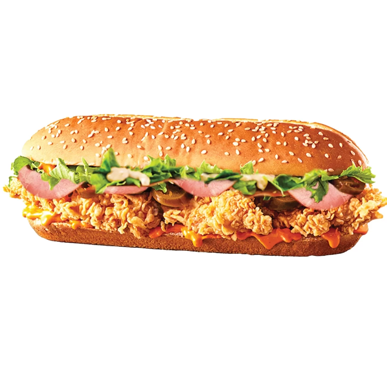 WhatsApp Image 2026 02 24 at 6.04.22 PM