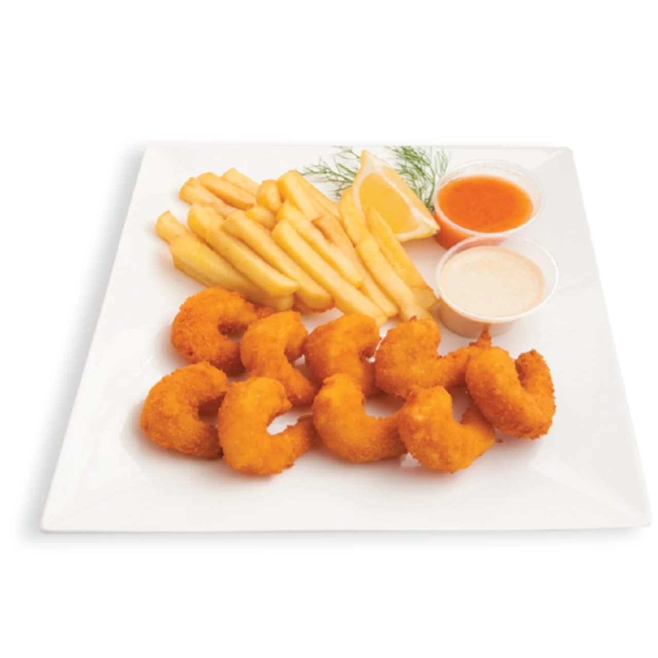 WhatsApp Image 2026 02 24 at 6.04.35 PM