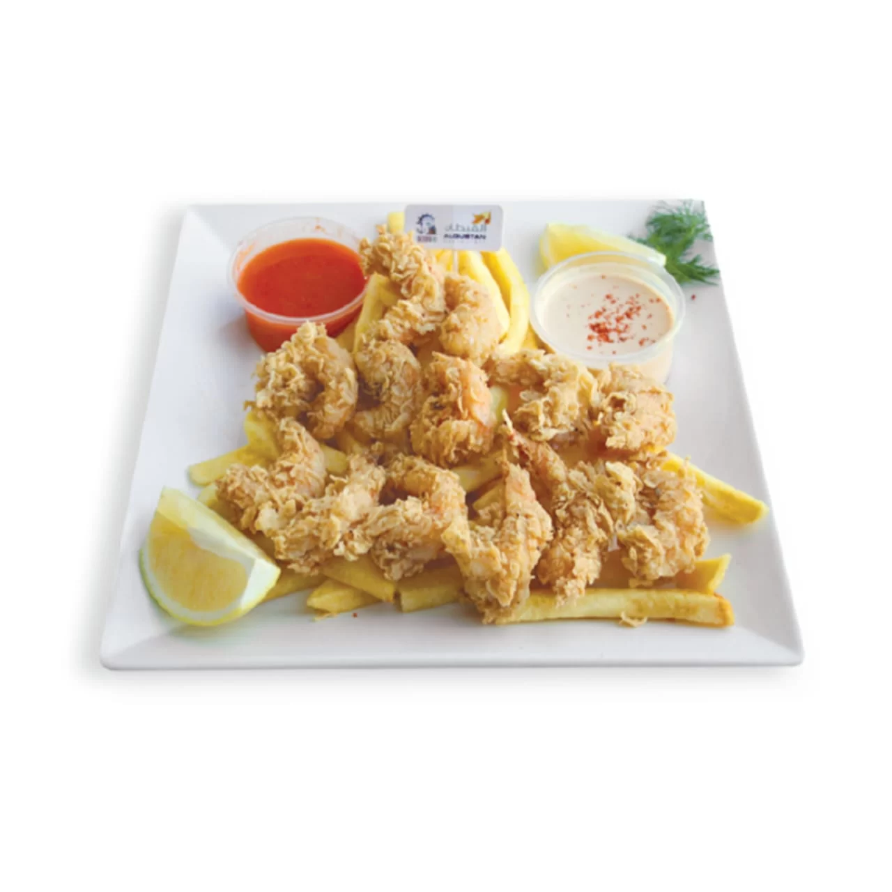 WhatsApp Image 2026 02 24 at 6.05.21 PM