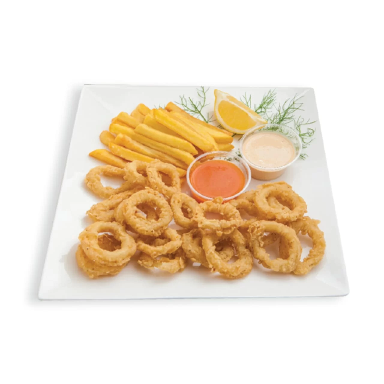 WhatsApp Image 2026 02 24 at 6.06.20 PM