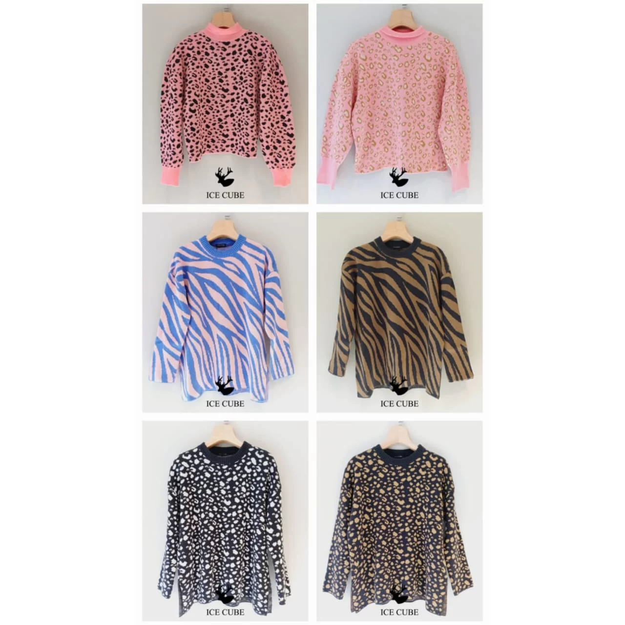 WhatsApp Image 2026 03 03 at 4.00.11 PM