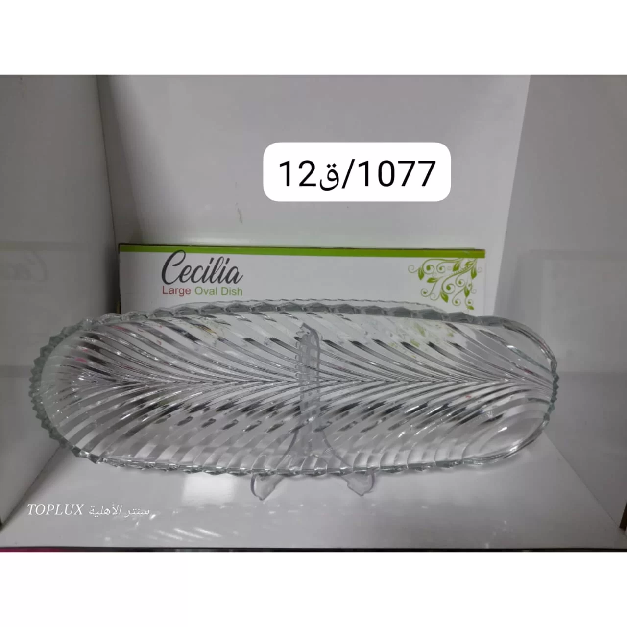 WhatsApp Image 2026 03 04 at 5.19.55 PM