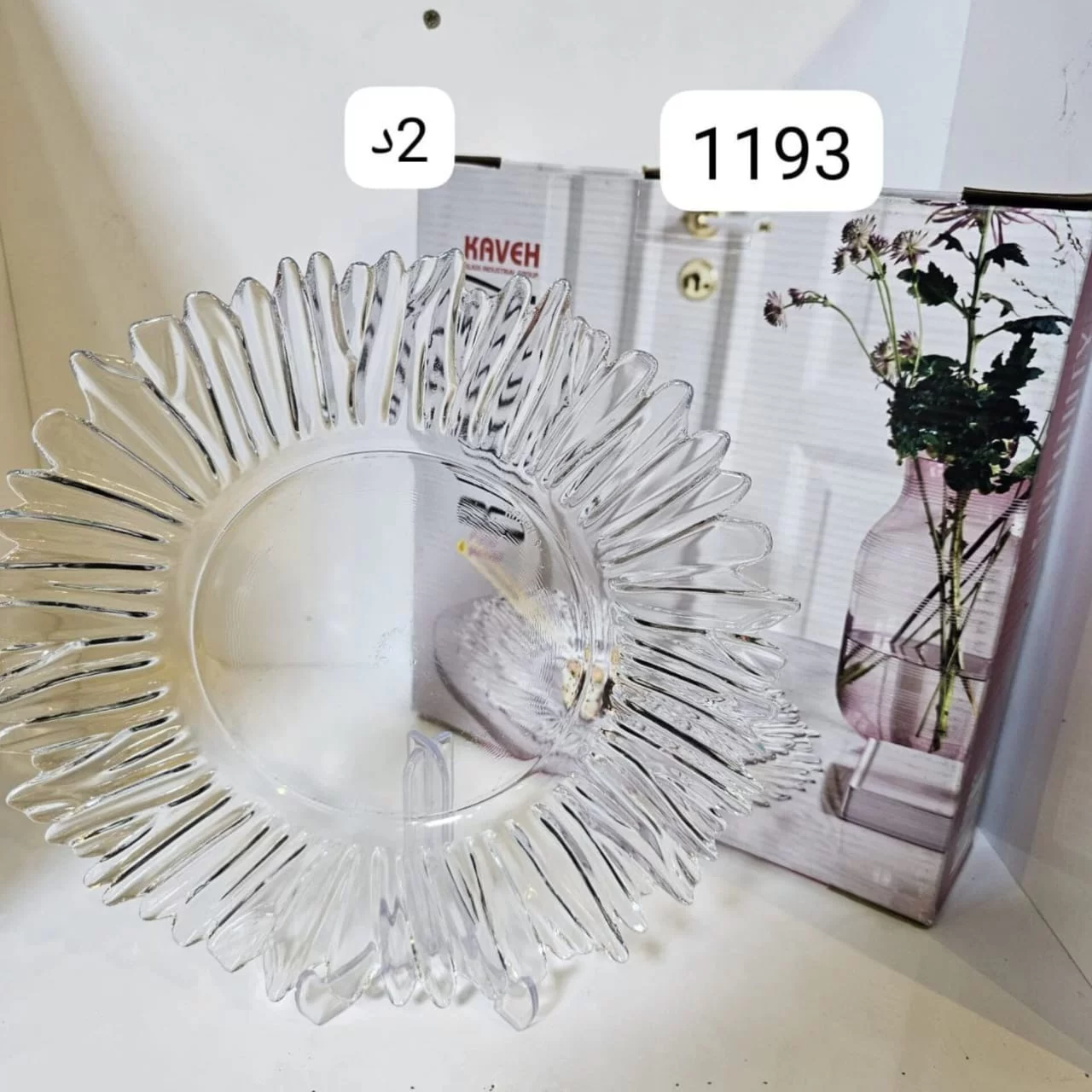 WhatsApp Image 2026 03 04 at 5.25.04 PM