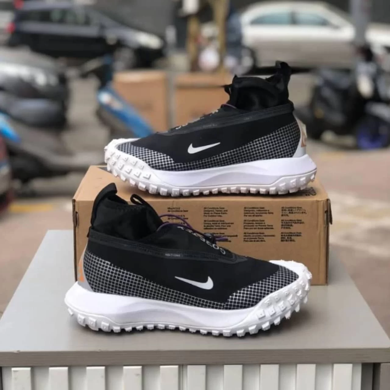 WhatsApp Image 2026 03 08 at 6.21.34 PM