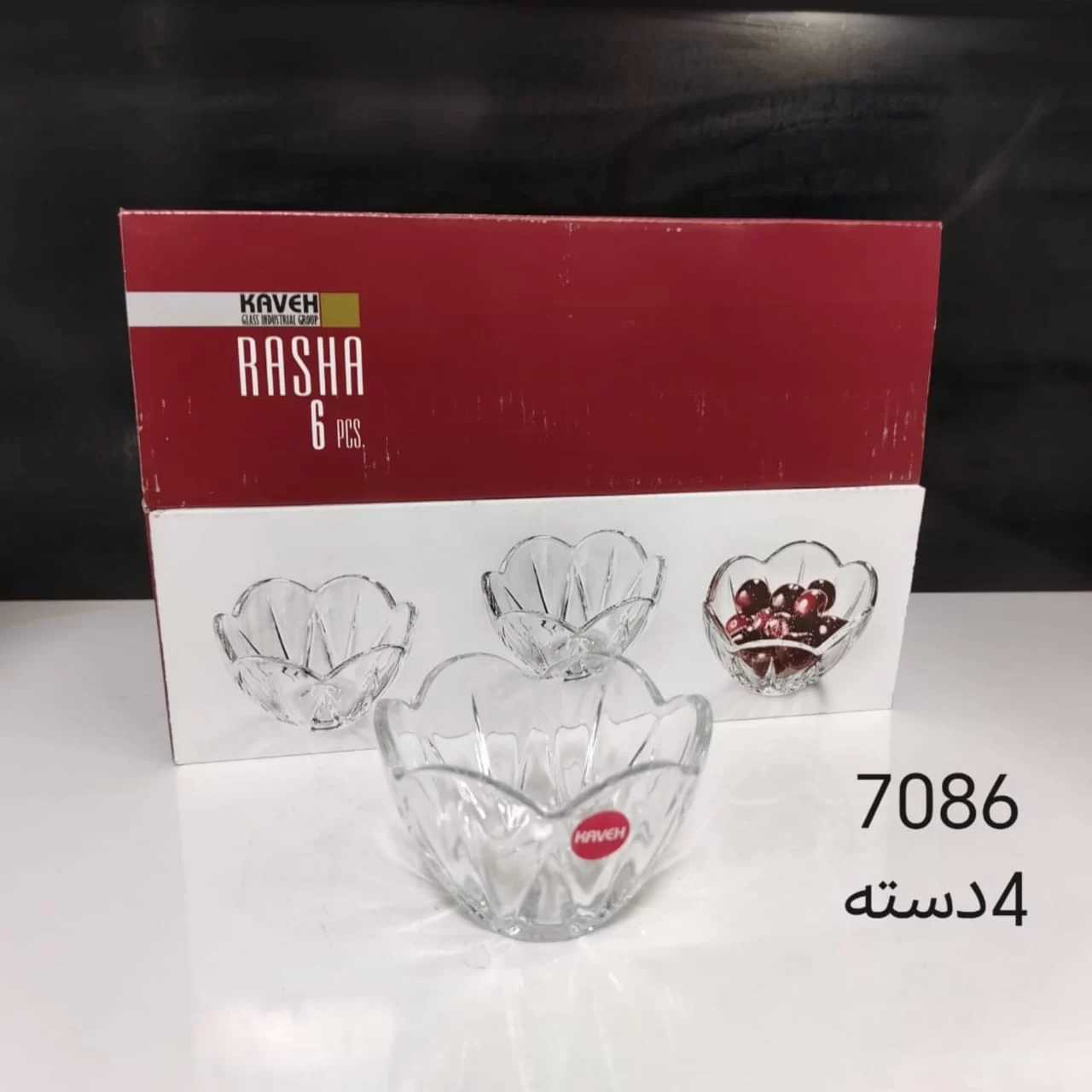 WhatsApp Image 2026 03 11 at 4.35.55 PM