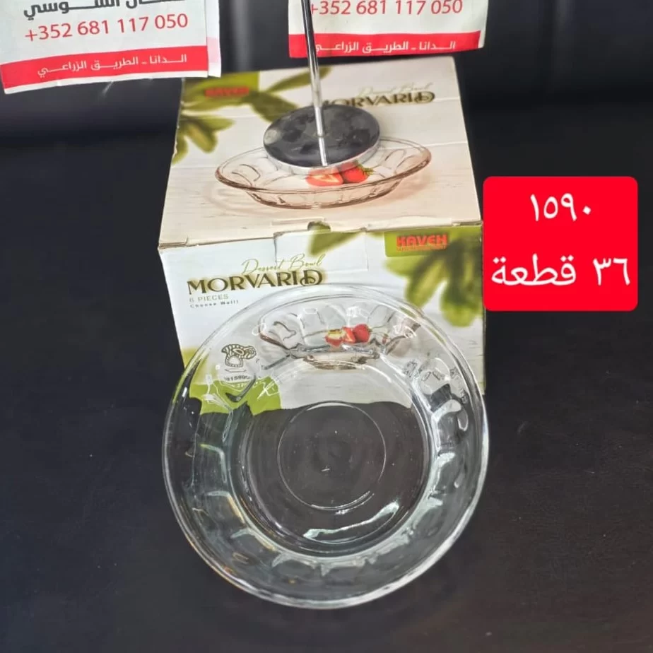 WhatsApp Image 2026 03 11 at 4.36.56 PM