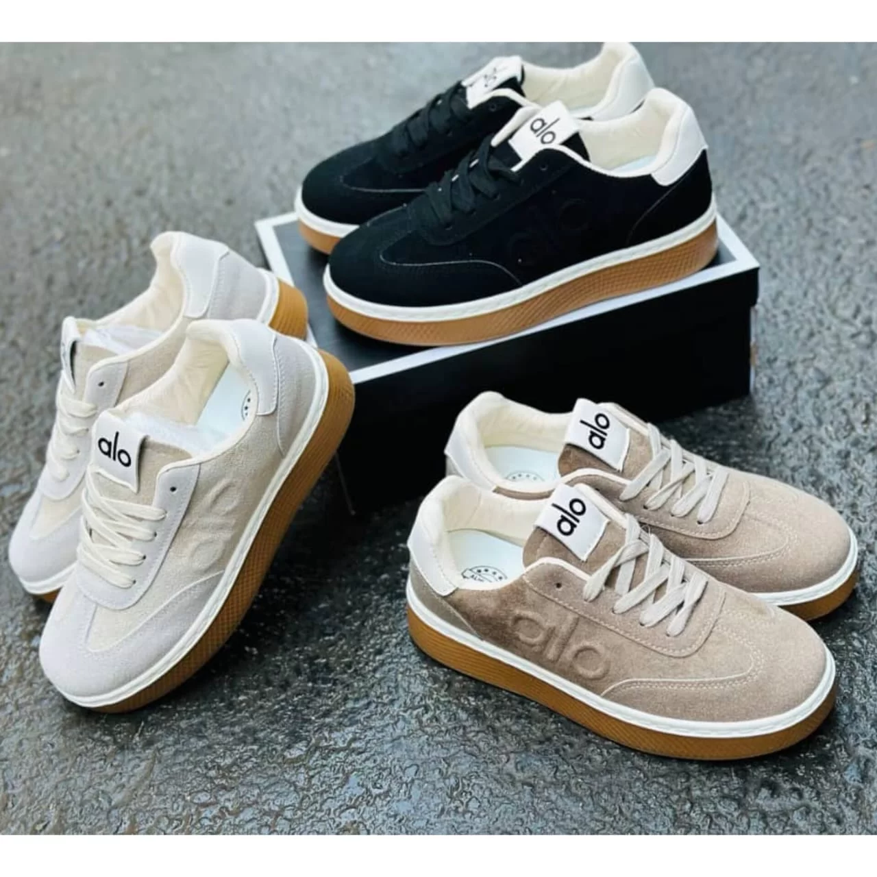 WhatsApp Image 2026 03 12 at 1.28.18 PM