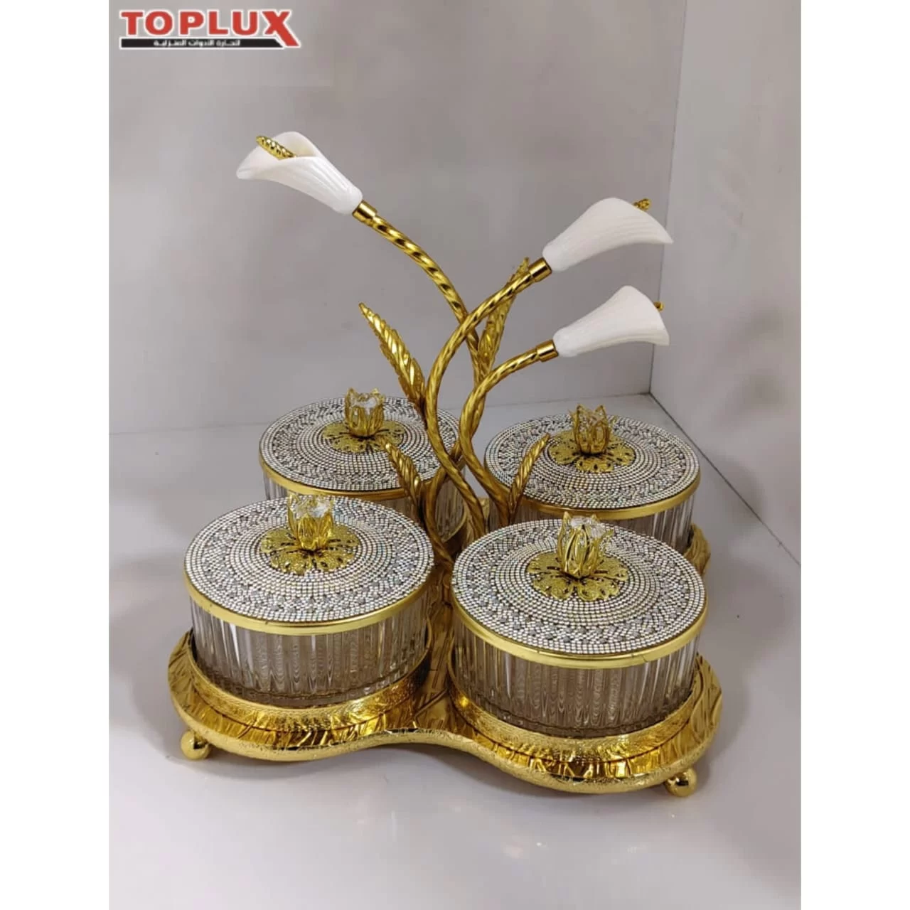 WhatsApp Image 2026 03 12 at 12.36.47 PM