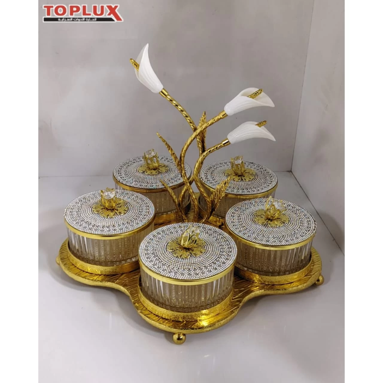 WhatsApp Image 2026 03 12 at 12.38.20 PM