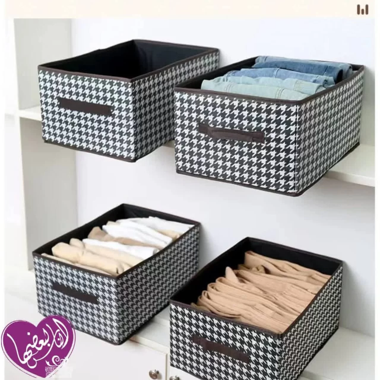 WhatsApp Image 2026 03 25 at 12.24.29 AM 1