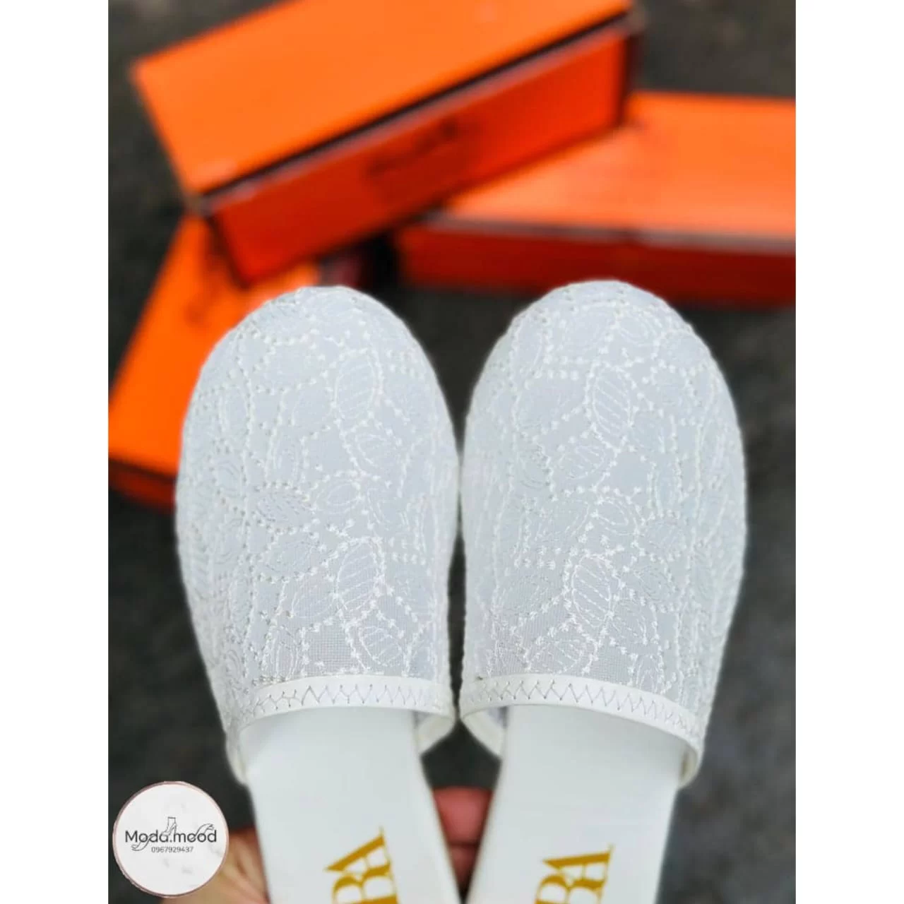 WhatsApp Image 2026 03 26 at 12.55.06 PM 3