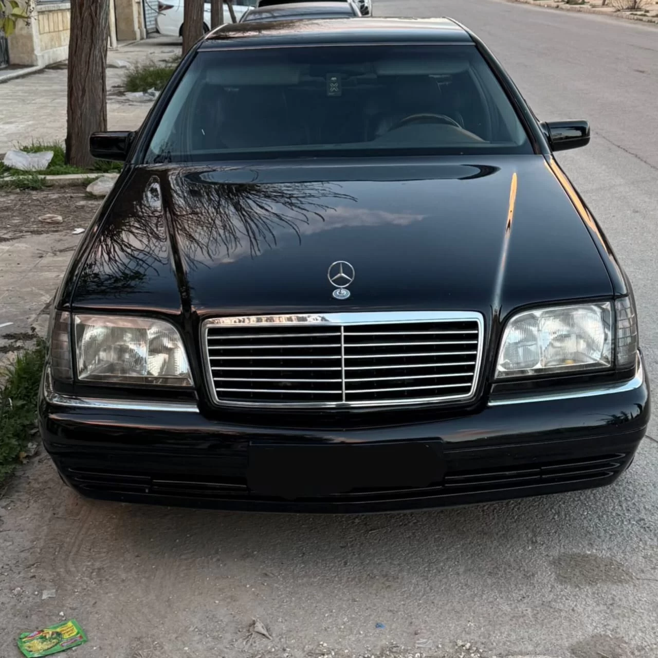 WhatsApp Image 2026 03 29 at 12.30.20 PM