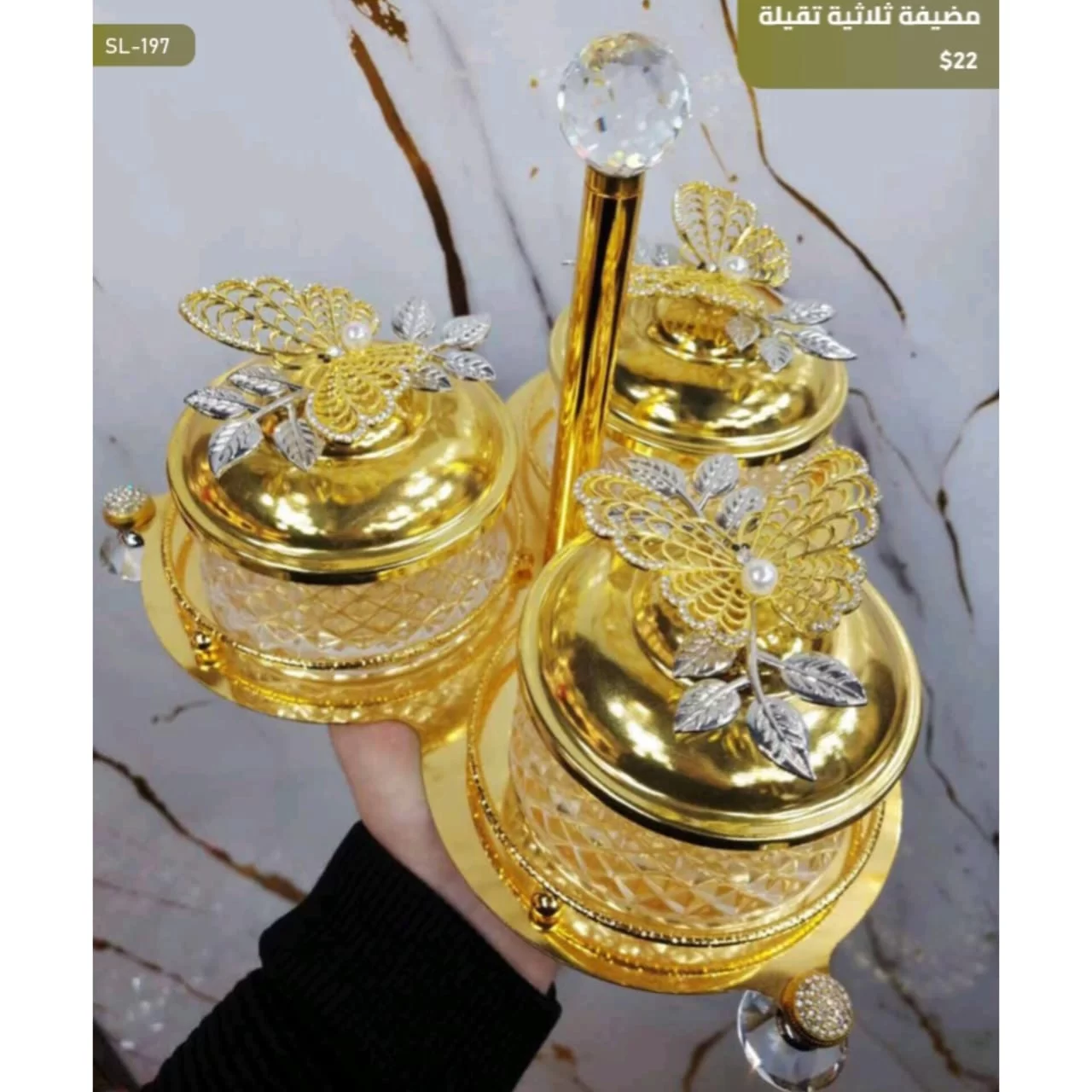 WhatsApp Image 2026 03 30 at 6.03.13 PM 1