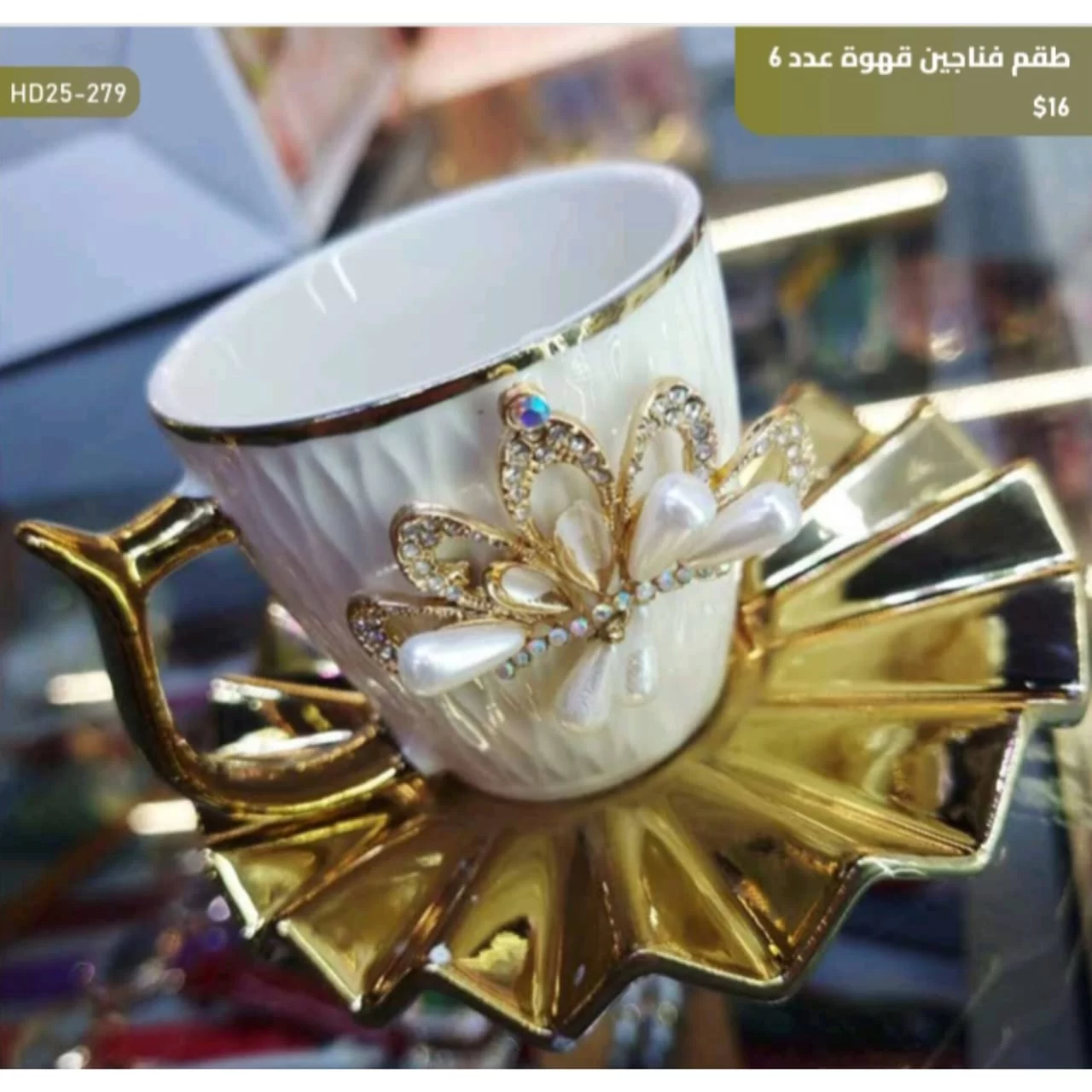 WhatsApp Image 2026 03 30 at 6.06.45 PM 1