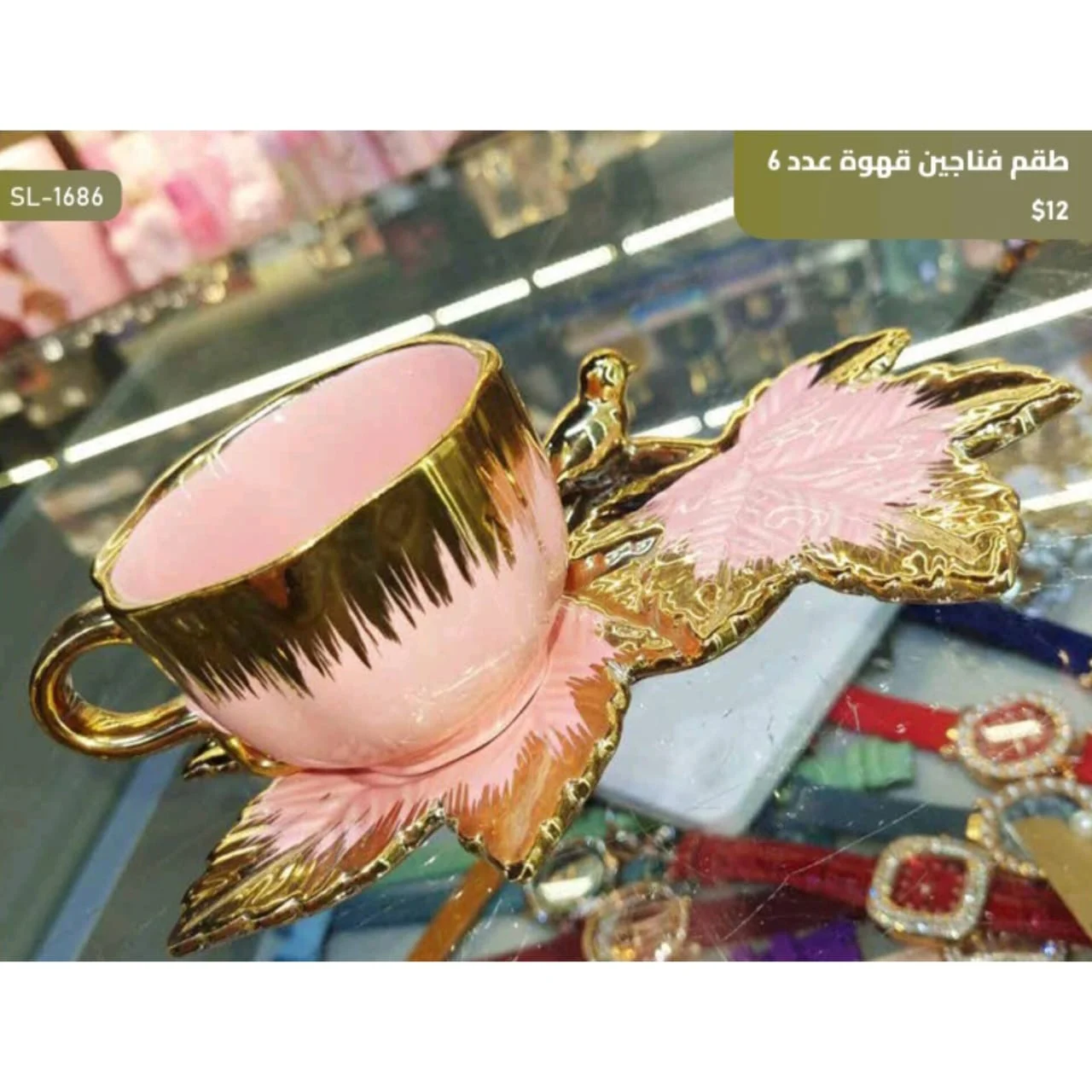 WhatsApp Image 2026 03 30 at 6.07.09 PM 3