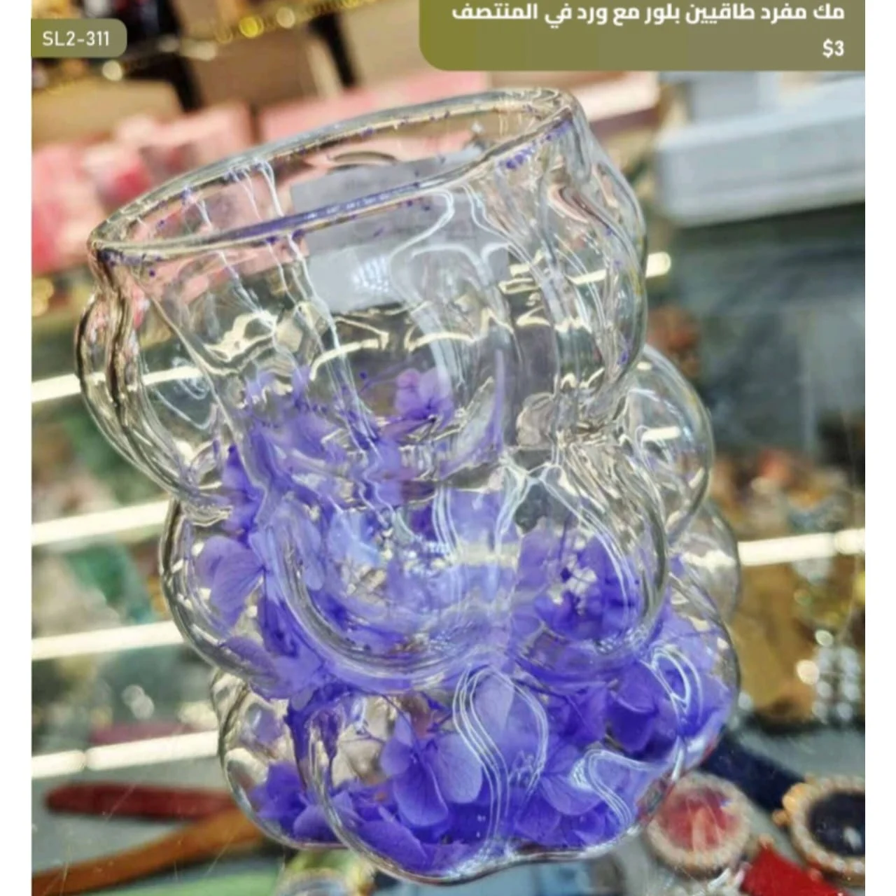 WhatsApp Image 2026 03 30 at 6.11.06 PM 2