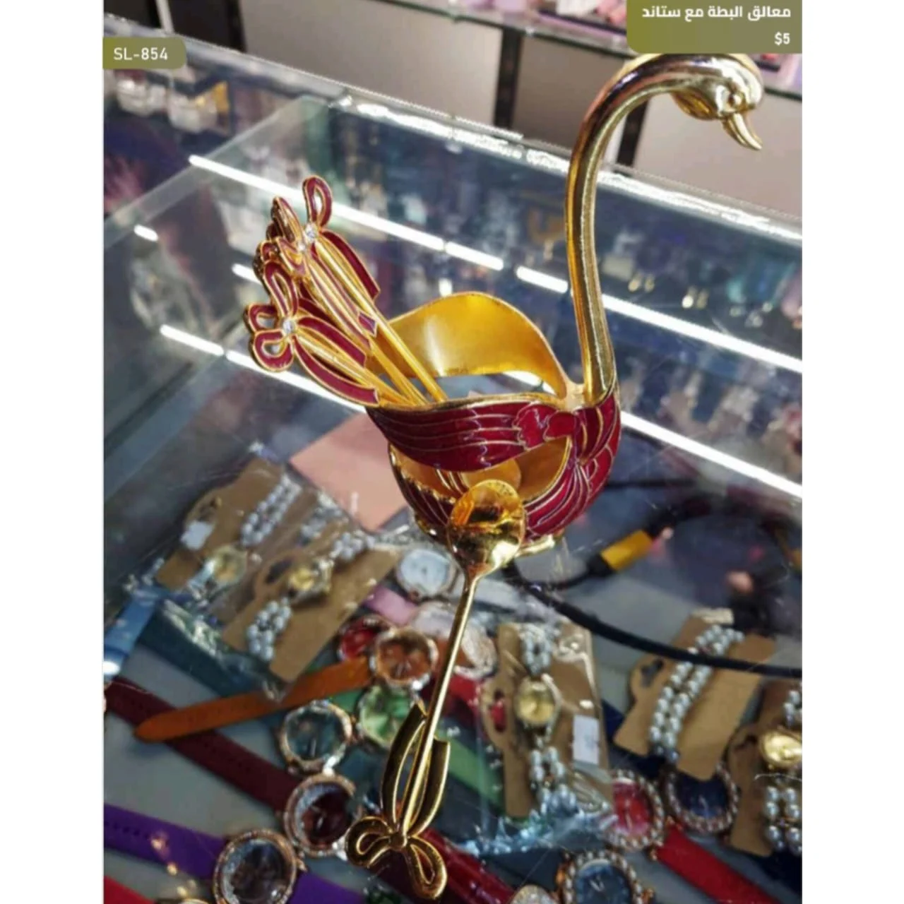 WhatsApp Image 2026 03 31 at 3.57.03 PM 2