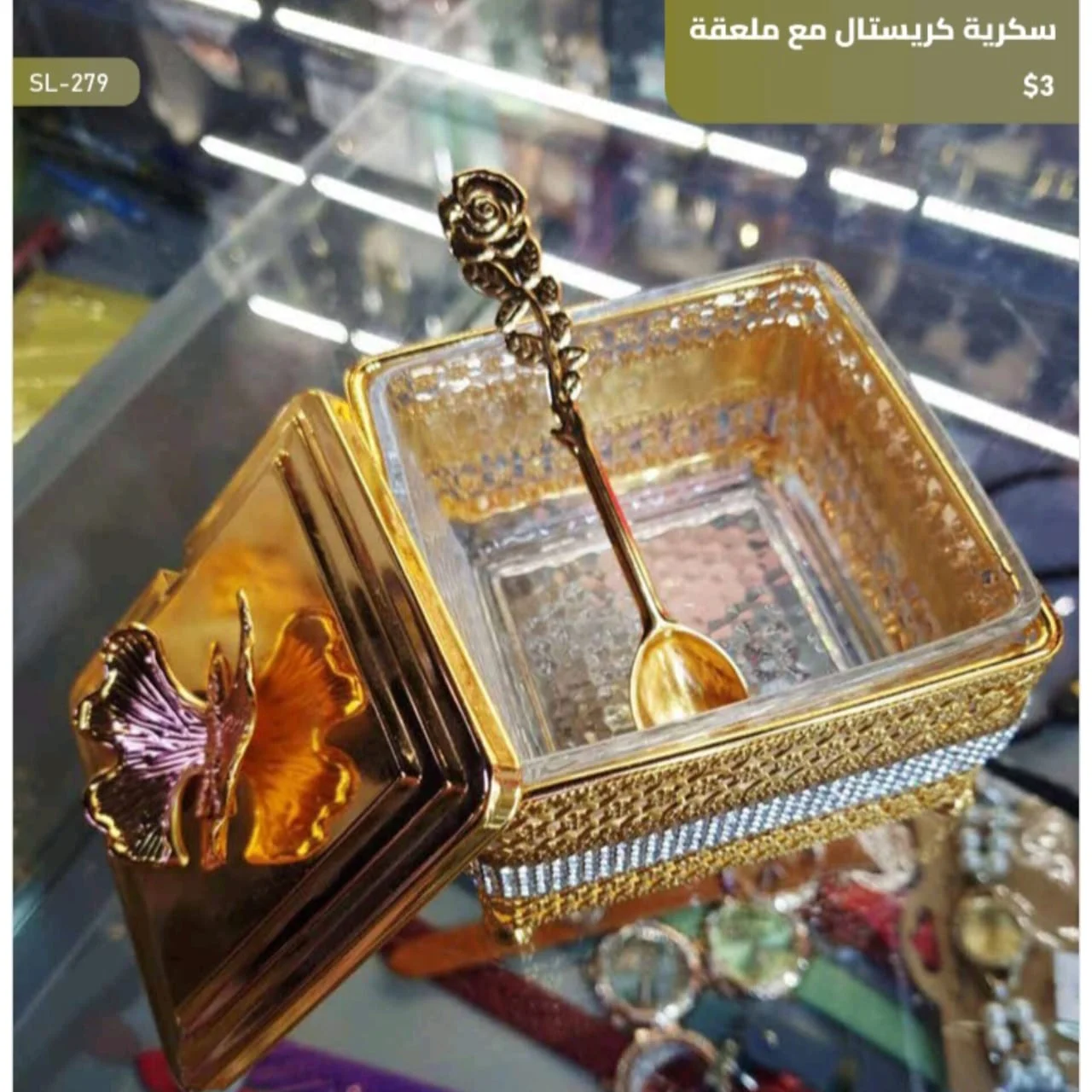 WhatsApp Image 2026 03 31 at 3.57.03 PM