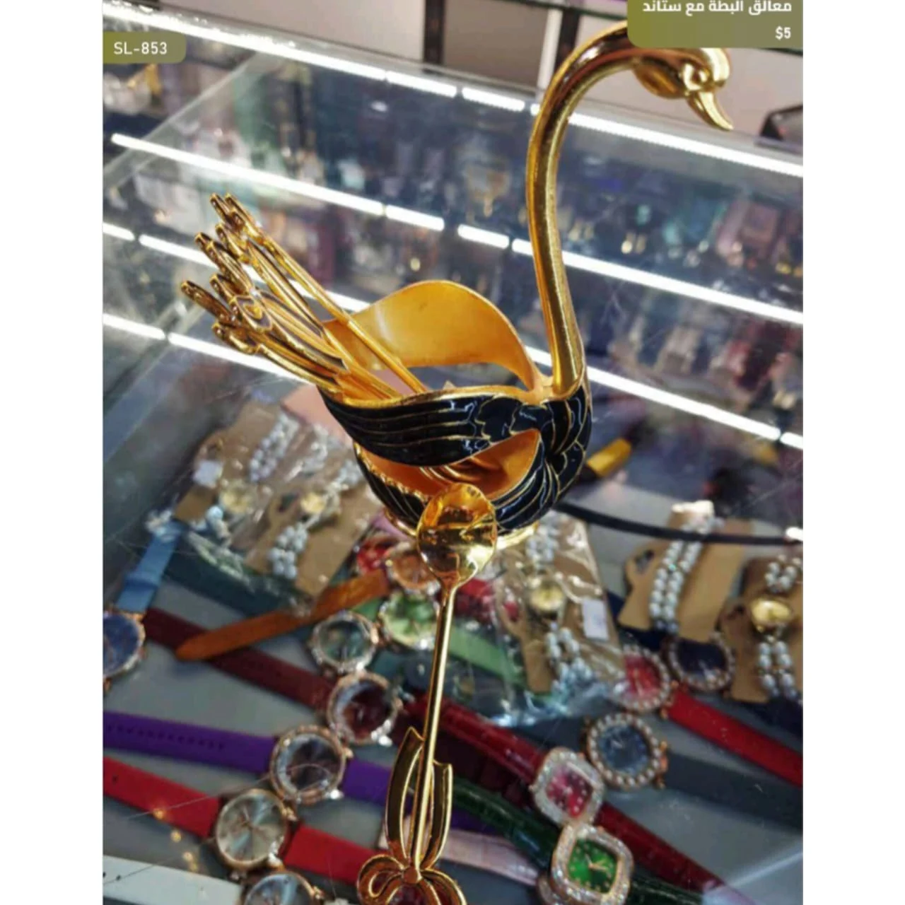 WhatsApp Image 2026 03 31 at 3.57.04 PM 1