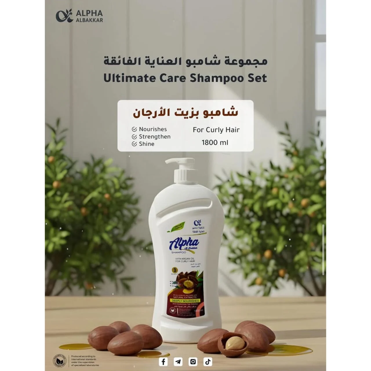 WhatsApp Image 2026 04 02 at 10.32.52 PM 2