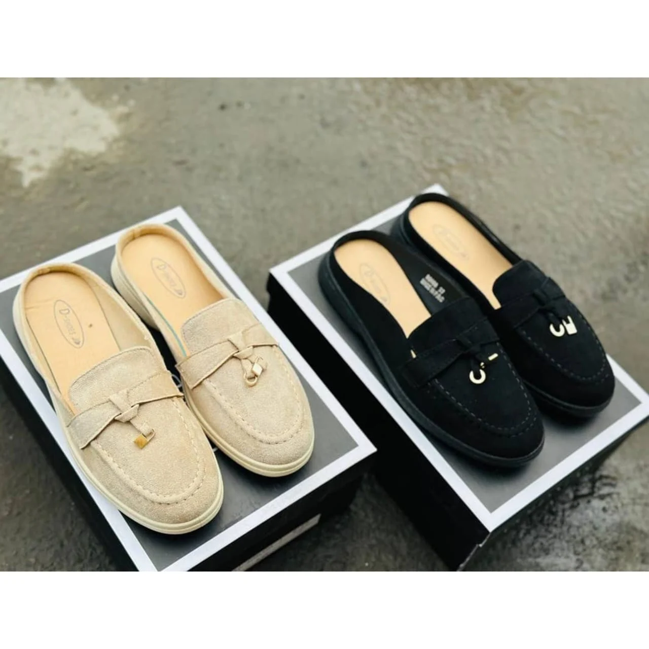 WhatsApp Image 2026 04 02 at 10.38.02 PM