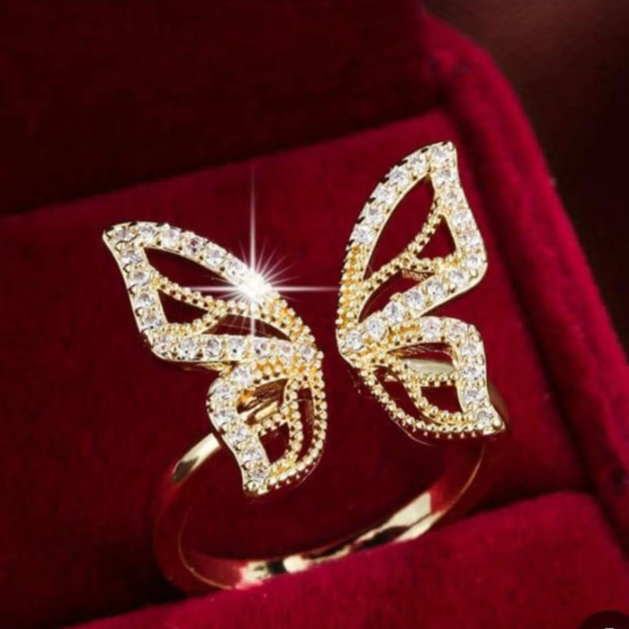 WhatsApp Image 2026 04 03 at 10.18.13 PM